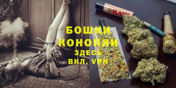 молекула духа Липки
