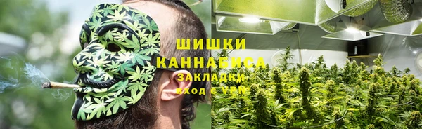 крисы Лиски