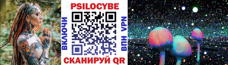 Купить где  Владимир  Псилоцибиновые грибы прущие грибы 